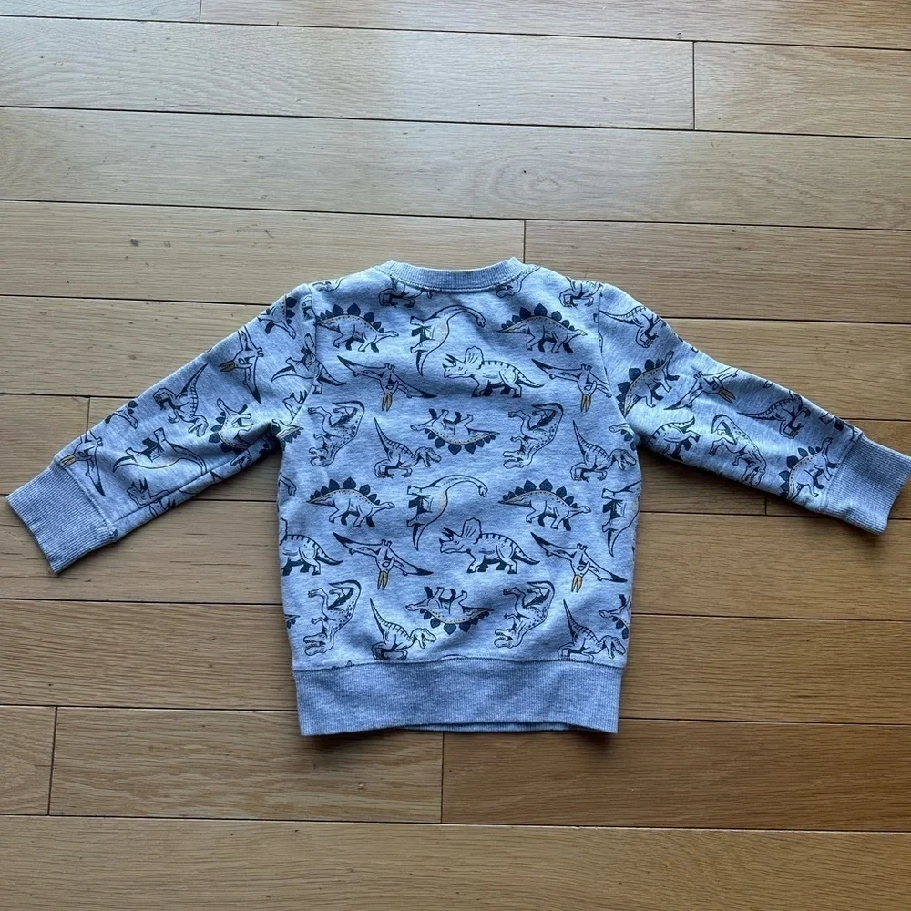Kids' Gray Dinosaur & Blue Superhero Sweatshirts size 2T